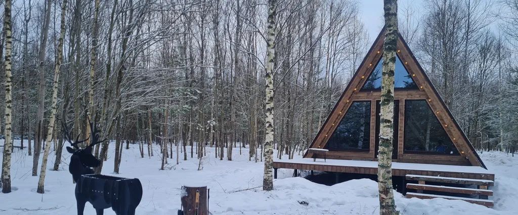 дом р-н Палкинский д Чернокуново Палкинская волость, 1 фото 16