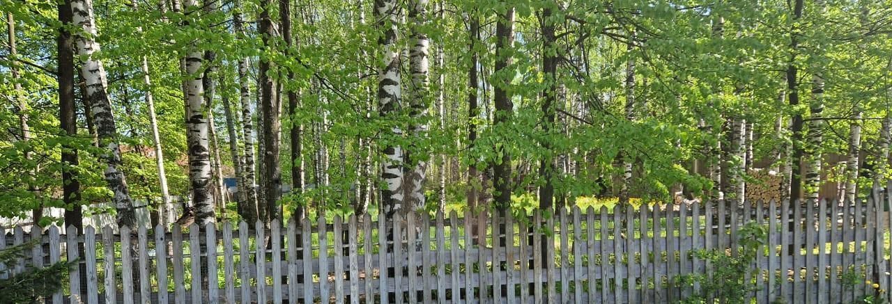 земля городской округ Пушкинский п Зеленоградский снт Зеленоградский ул Льва Толстого фото 4