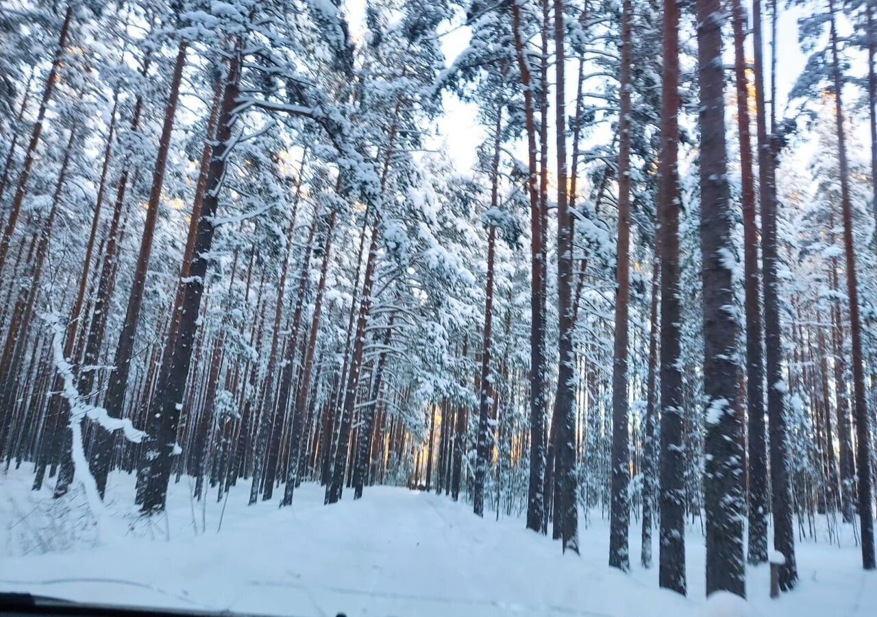 дом р-н Приозерский п Моторное Трасса Сортавала, 97 км, Ларионовское сельское поселение, Приозерск фото 22