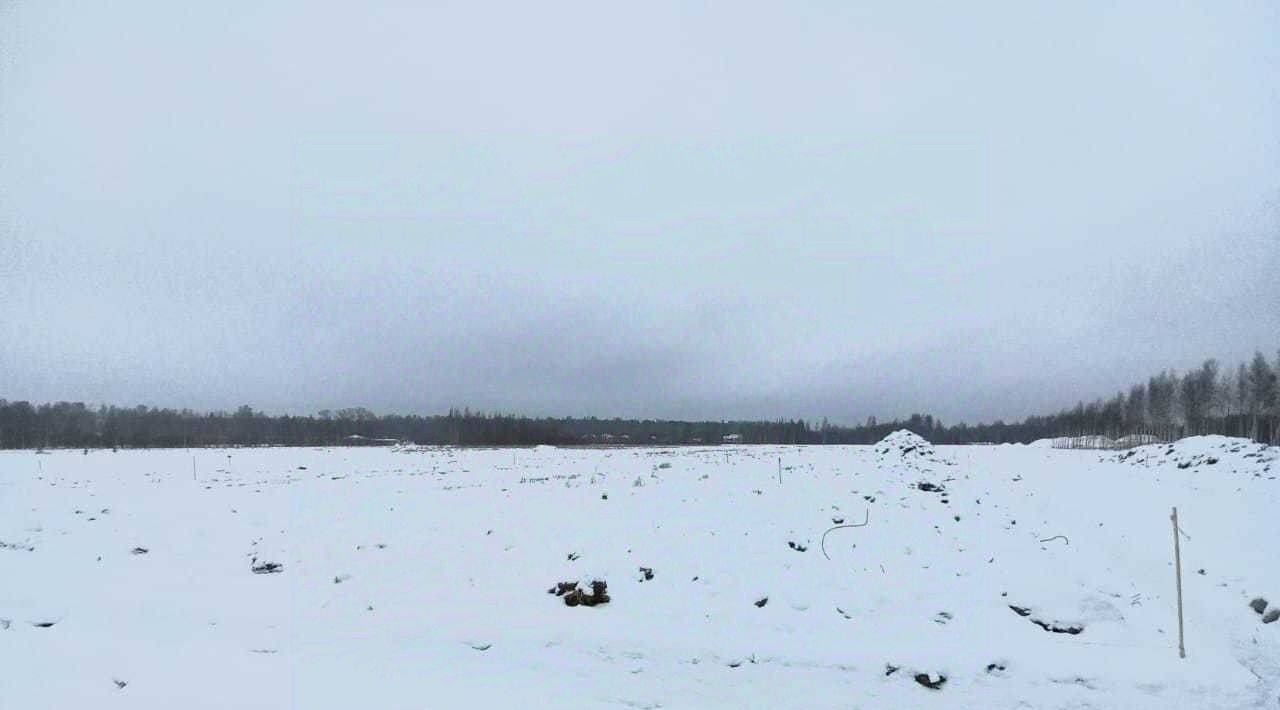 земля р-н Всеволожский массив Капитолово Бугровское городское поселение, Парнас фото 6