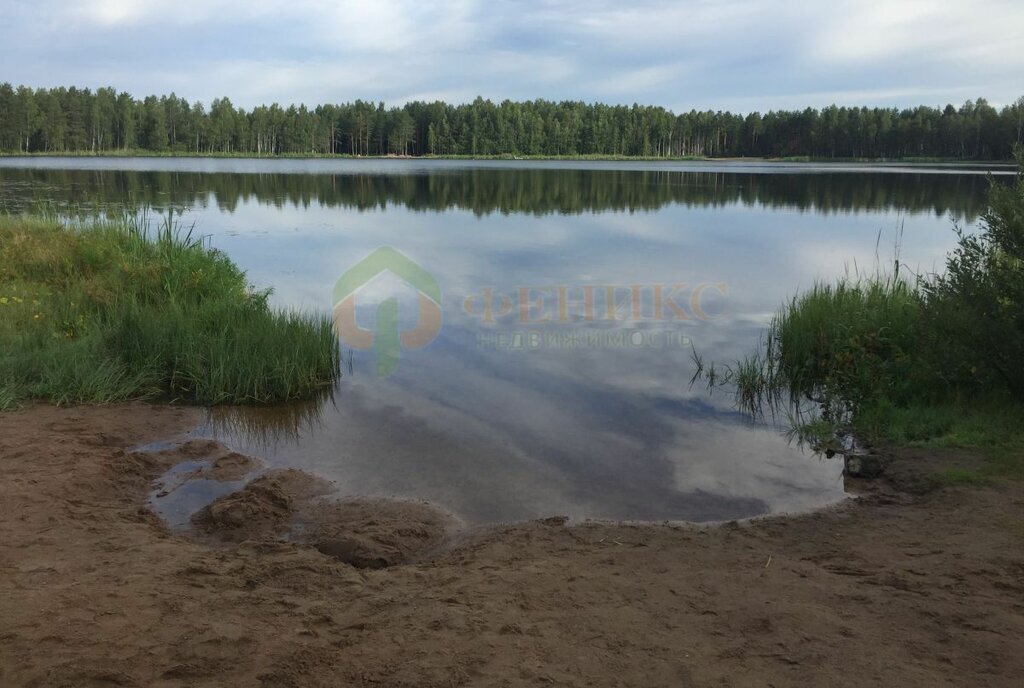 земля р-н Выборгский Рощинское городское поселение, садоводческое некоммерческое товарищество Антракт фото 9