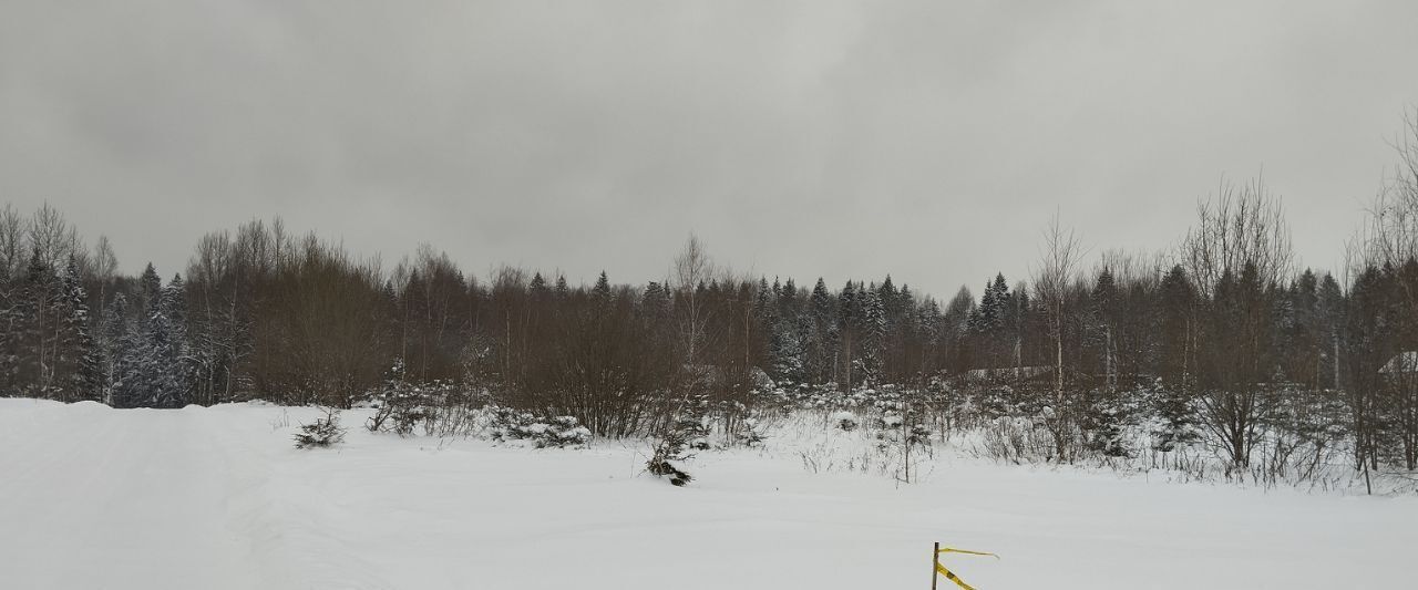 земля городской округ Дмитровский д Сбоево фото 2