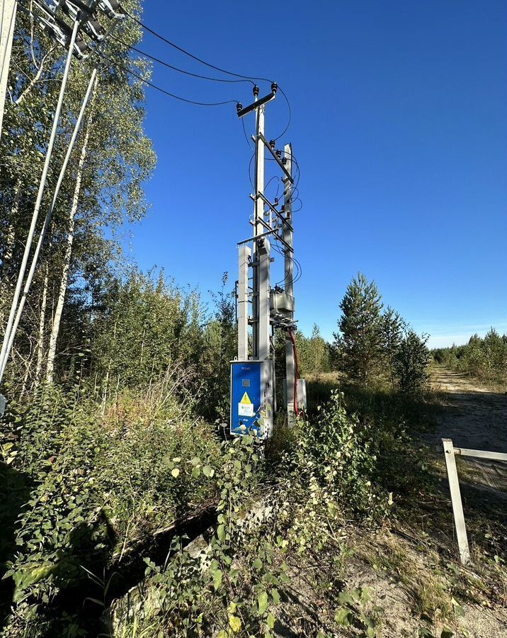 земля р-н Всеволожский п Рахья Дорога жизни, 18 км, Рахьинское городское поселение, коттеджный пос. Константиновка фото 2