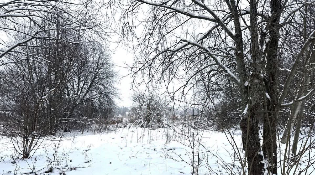 земля р-н Всеволожский д Савочкино ул Центральная 20 Бугровское городское поселение, Парнас фото 3