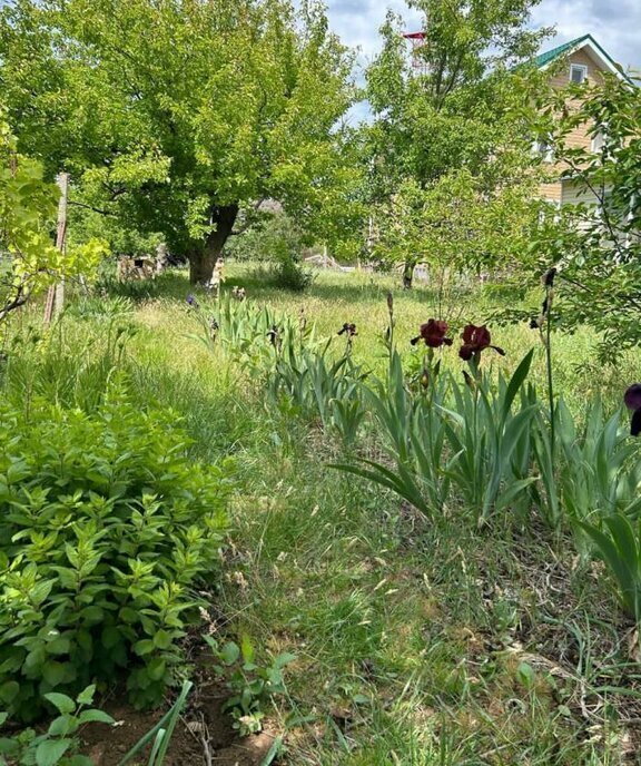 земля р-н Сакский с Фрунзе Фрунзенское сельское поселение фото 1