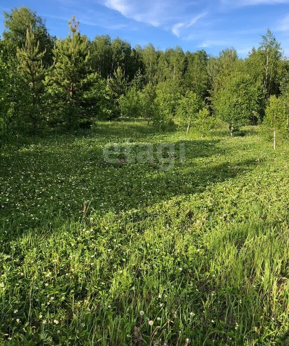 земля р-н Сосновский д Полетаево 2-е Полетаевское сельское поселение фото 4