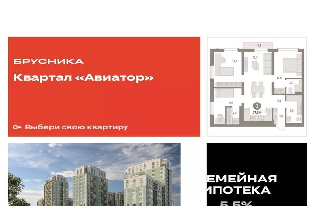 Заельцовская ул Аэропорт 88 фото