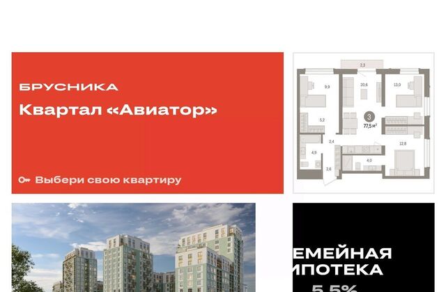 Заельцовская ул Аэропорт 88 фото