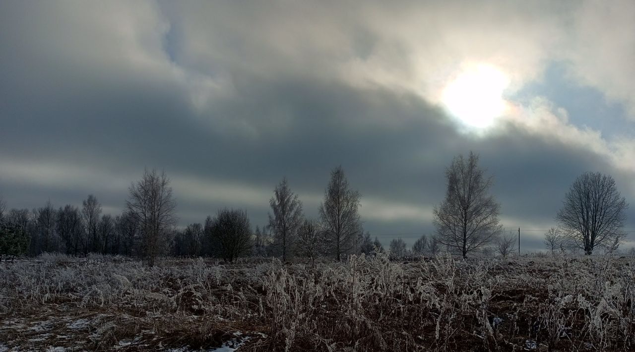 земля городской округ Солнечногорск д Федино фото 3