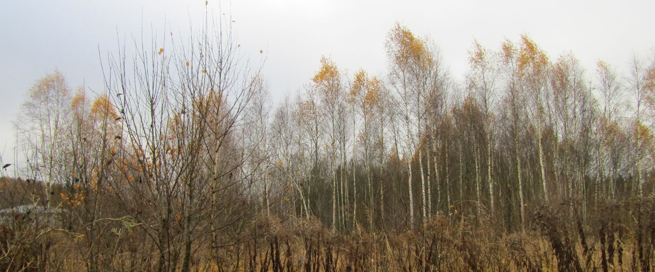 земля городской округ Рузский д Лобково фото 1