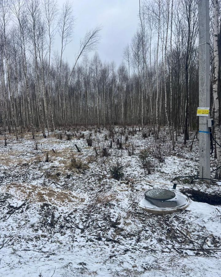 земля р-н Заокский д Скрипово ул Березовая сельское поселение Страховское фото 2