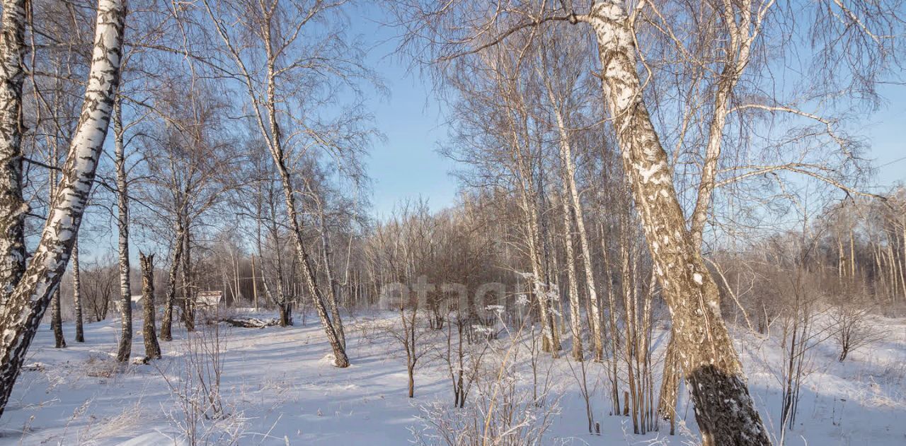 земля р-н Новосибирский снт Генетик Барышевский сельсовет фото 12