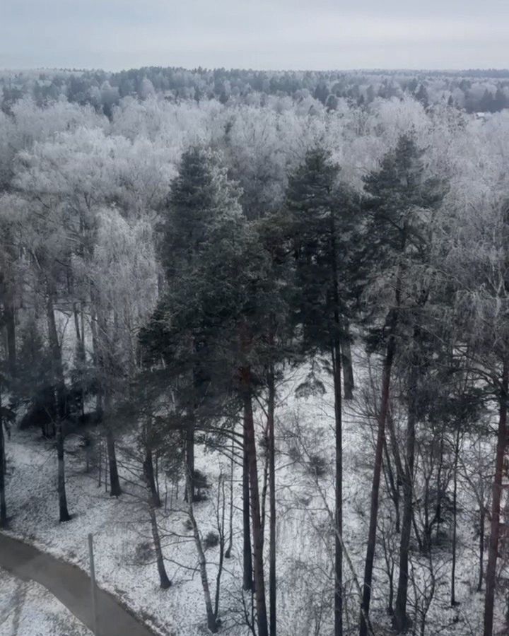 квартира городской округ Пушкинский п Зеленоградский снт Зеленоградский ул. Зелёный Город, 3, Правдинский фото 10