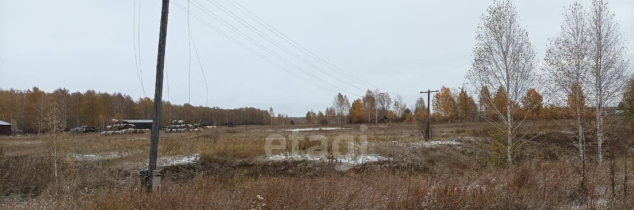 земля р-н Колыванский д Большая Черемшанка ул Лесная фото 3