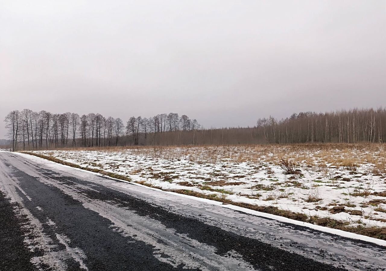 земля городской округ Раменский д Бритово ул Свободы 39 28 км, Раменское, Рязанское шоссе фото 3