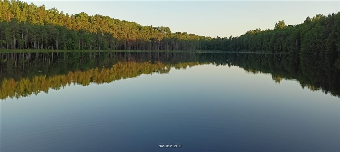 земля р-н Лужский п Мшинская фото 6