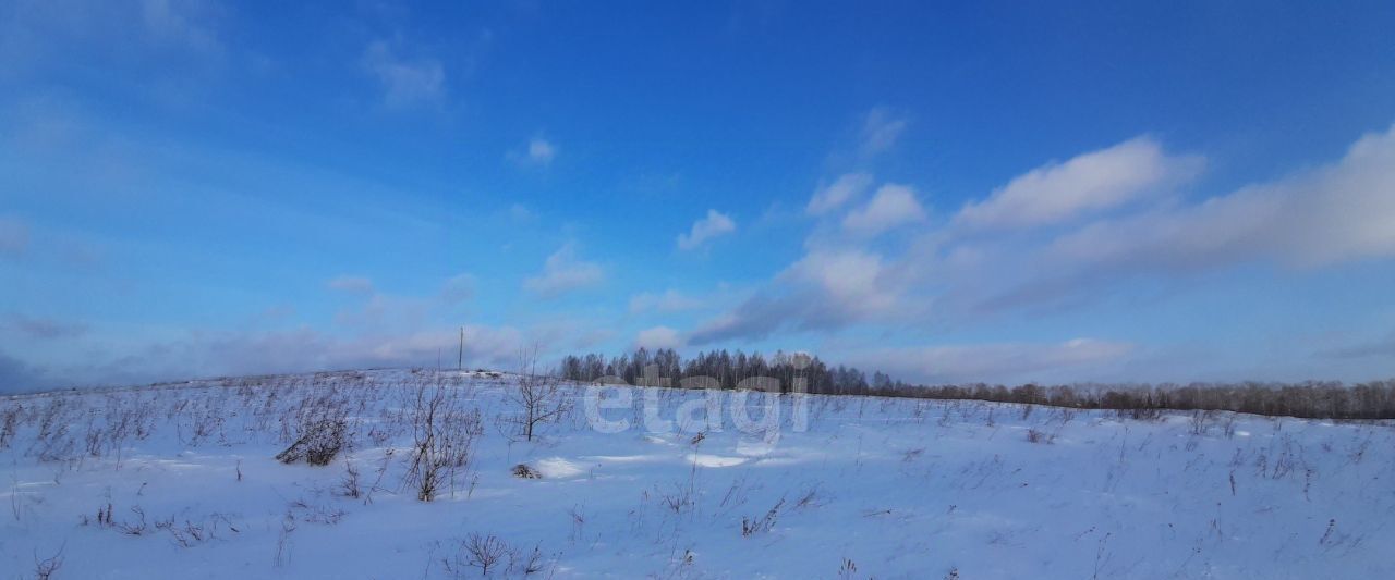 земля р-н Пригородный с Николо-Павловское фото 1