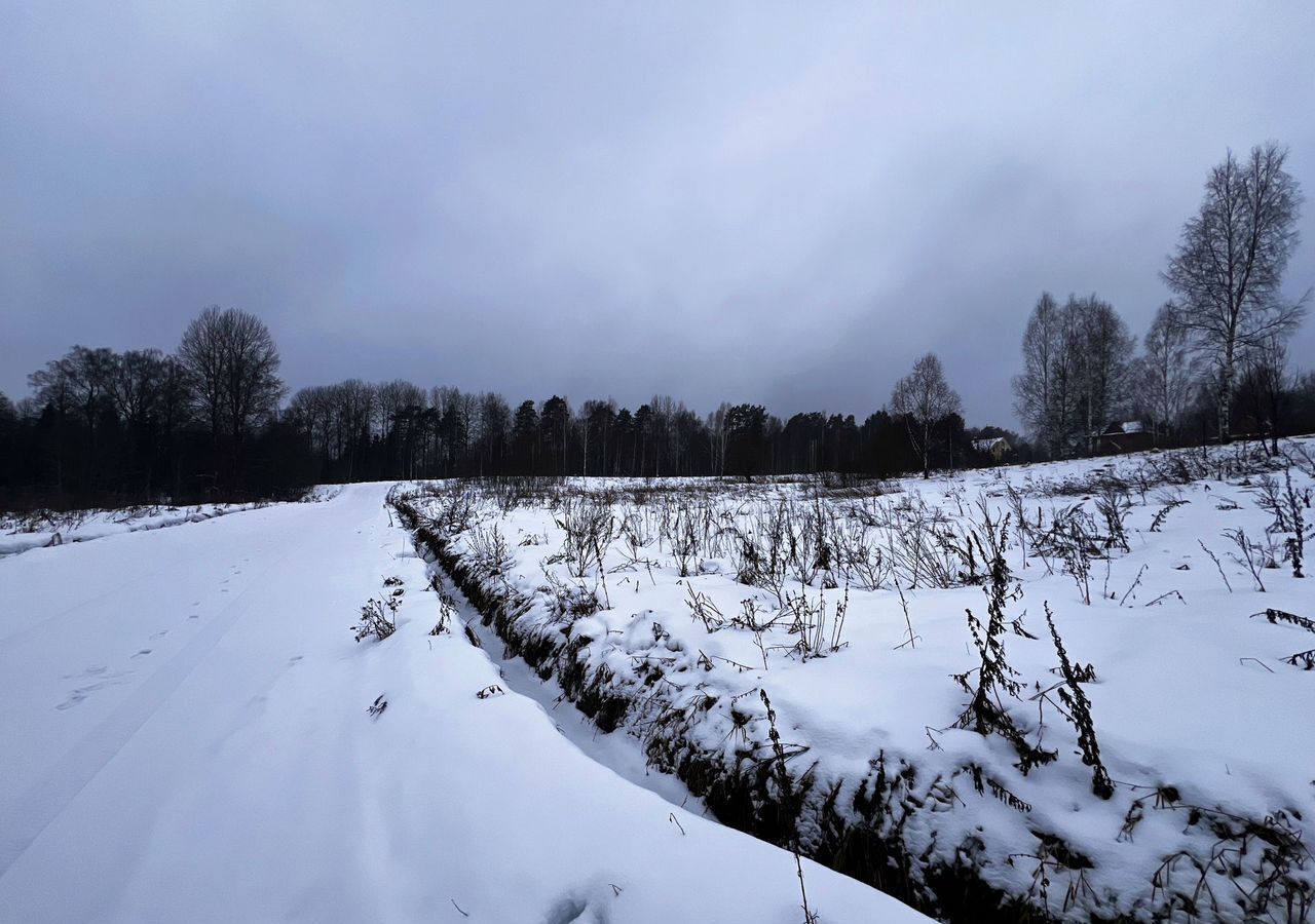 земля городской округ Дмитровский рп Икша 34 км, д. Каменка, Рогачёвское шоссе фото 19