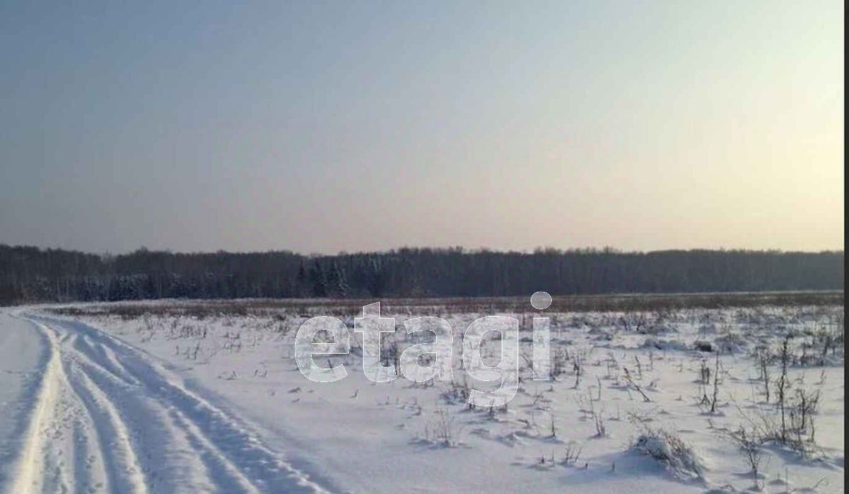 земля р-н Сысертский п Первомайский ул. Молодежная фото 3