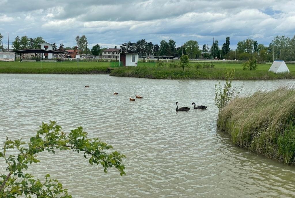 земля р-н Северский х Водокачка ул Кольцевая Афипское городское поселение фото 9