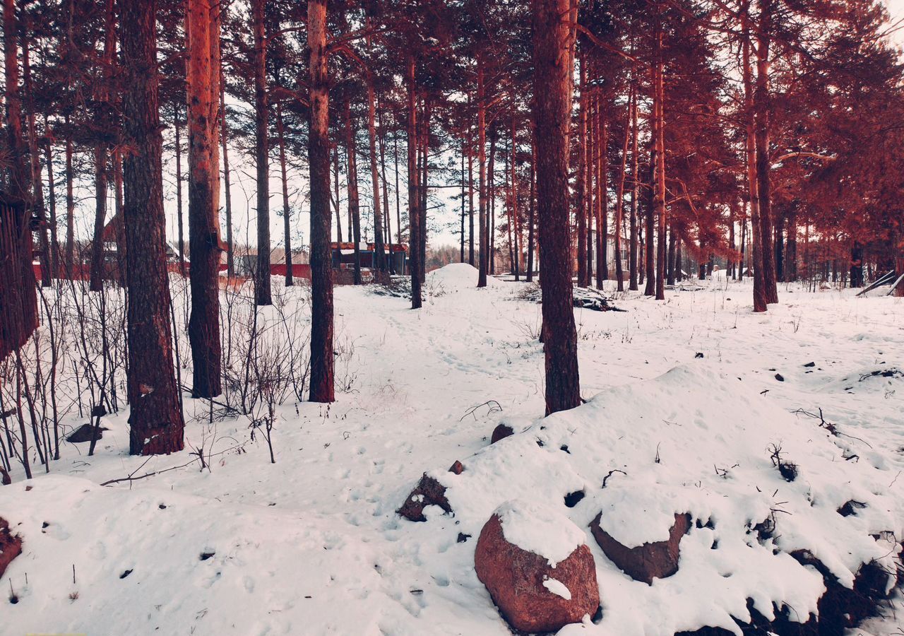 земля р-н Кондопожский г Кондопога Кондопожское городское поселение фото 6