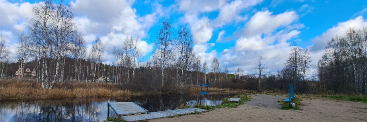 дом р-н Выборгский п Черкасово снт Эрудит ул Тенистая 178 Советское городское поселение фото 32