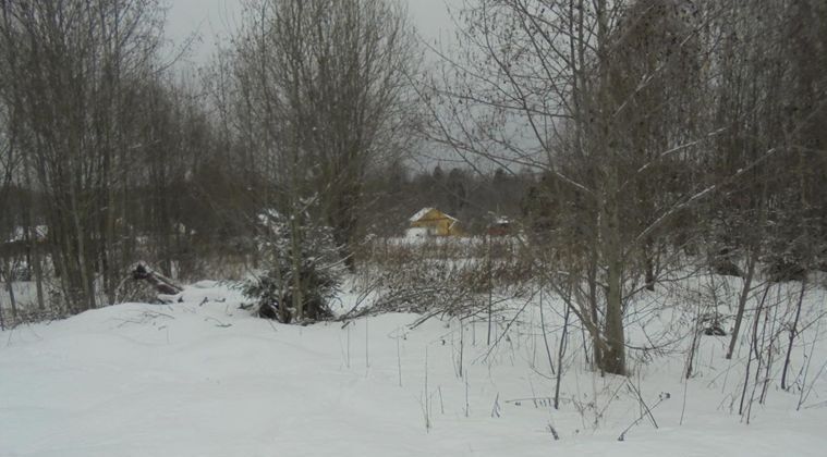 земля городской округ Дмитровский д Михеево-Сухарево фото 1