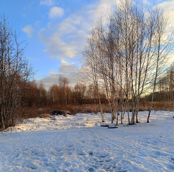 земля городской округ Павловский Посад Электрогорск фото 1