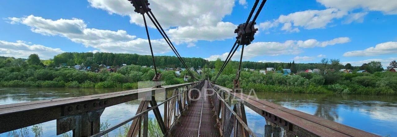 земля р-н Тогучинский с Репьево Репьевский сельсовет фото 2