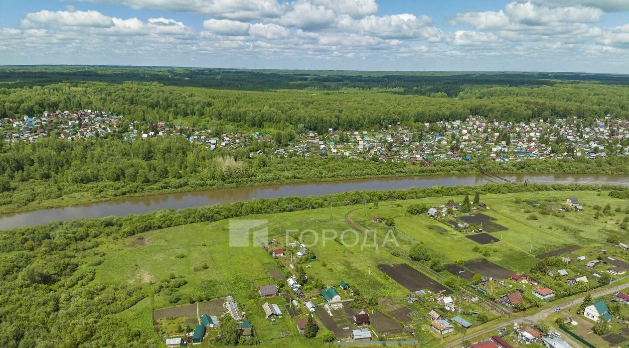 земля р-н Тогучинский с Репьево Репьевский сельсовет фото 14