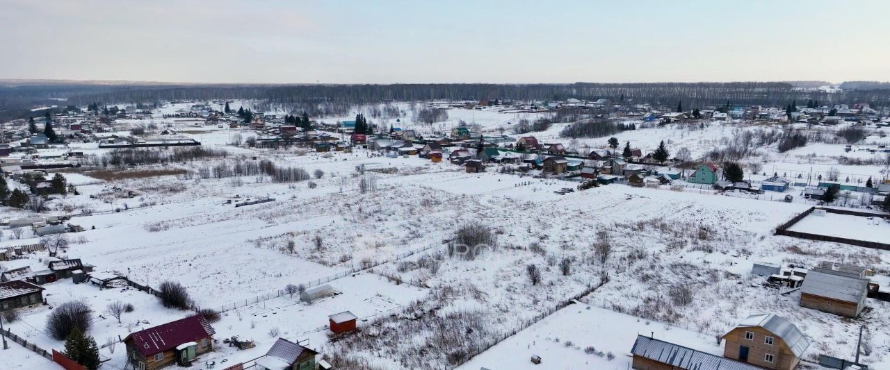 земля р-н Тогучинский с Репьево ул Инская Репьевский сельсовет фото 45