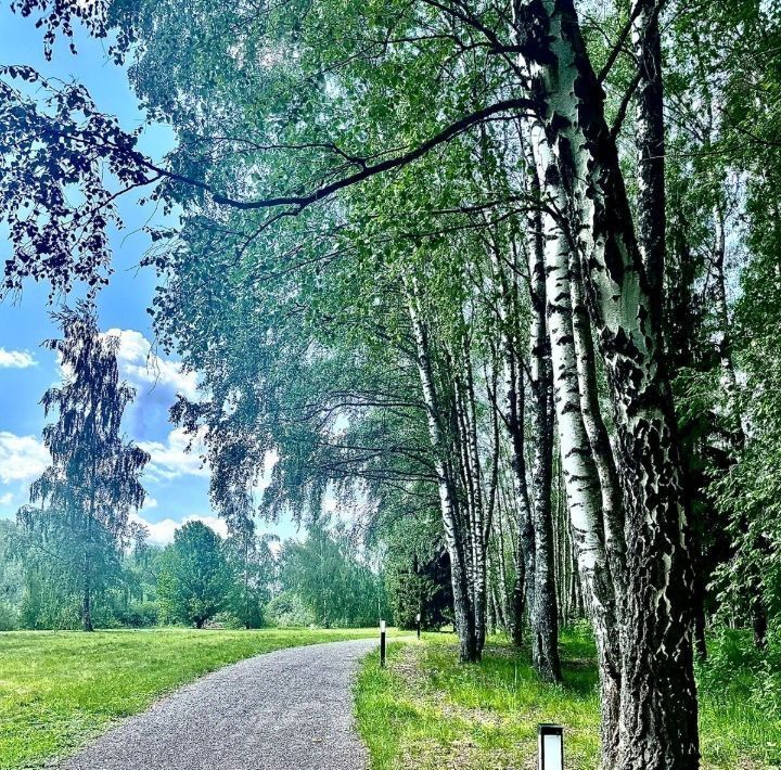 земля городской округ Можайский Лагуна-парк кп фото 11