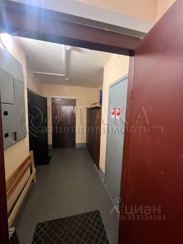 квартира г Санкт-Петербург р-н Фрунзенский ул Димитрова 29/1 Александровский округ, Ленинградская область фото 24
