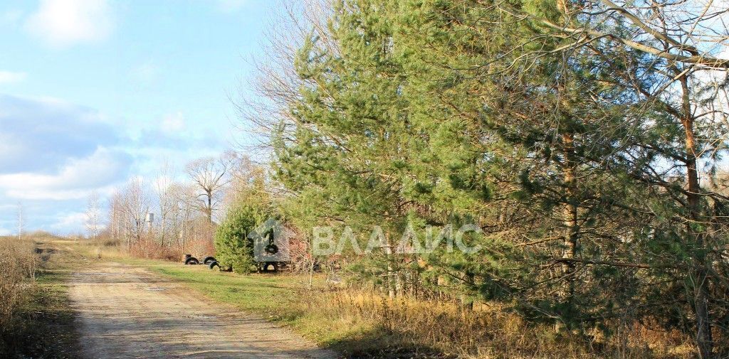 квартира р-н Суздальский п Малининский ул Совхозная 4/1 Новоалександровское муниципальное образование фото 26