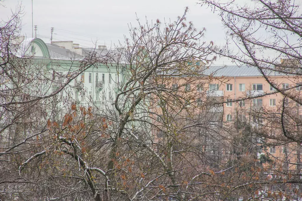 квартира г Нижний Новгород ул Большая Покровская 58 Горьковская фото 21