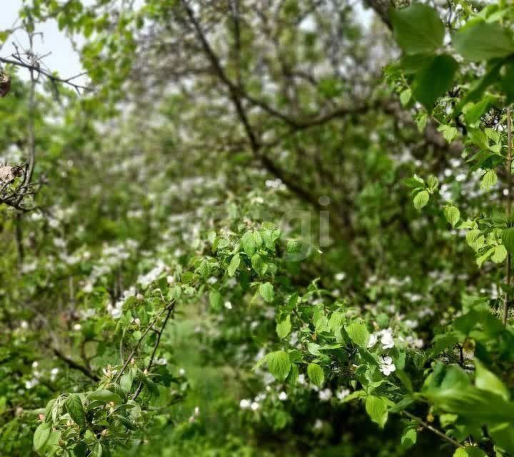 дом г Ставрополь р-н Промышленный городской округ Ставрополь, СНТ имени Советской Армии фото 10