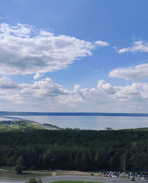 квартира г Ульяновск р-н Заволжский проезд Сиреневый 4 Ульяновск городской округ фото 10