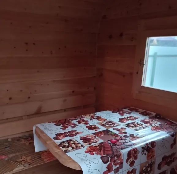 дом р-н Зеленоградский г Зеленоградск ул Венская 34 фото 15