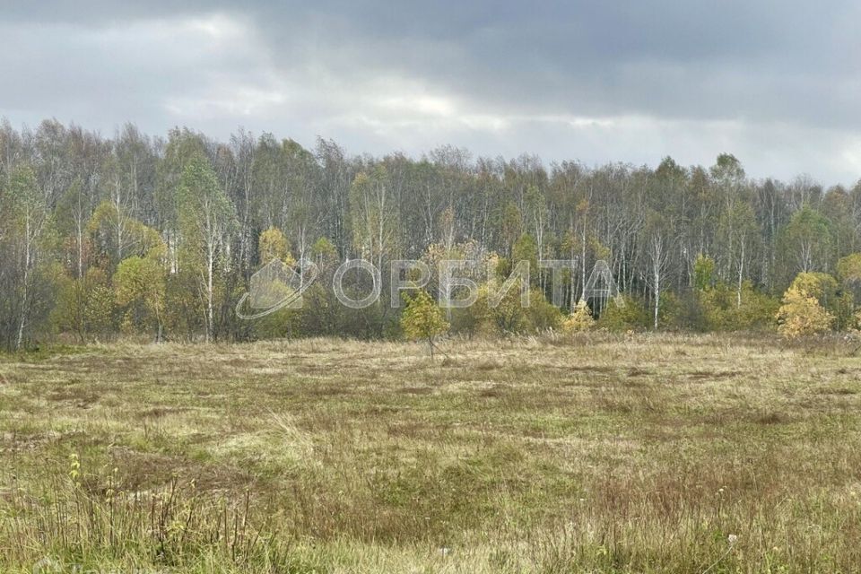 земля р-н Нижнетавдинский п Лесозаводский ул Мира 11 фото 4