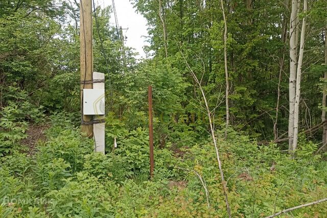 городской округ Ревда, СНТ Заря-5 фото