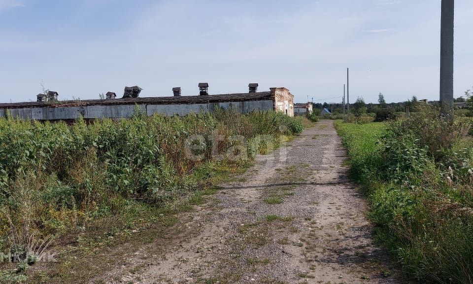 земля р-н Тамбовский п совхоза "Комсомолец" ул Садовая 2 фото 1