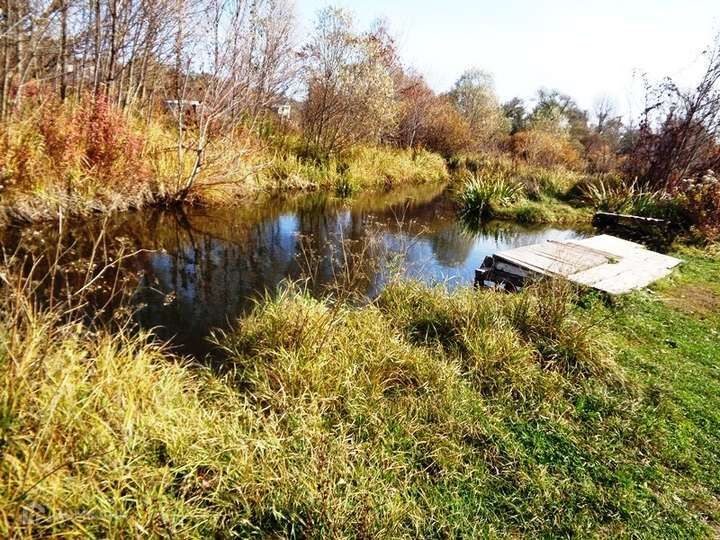 земля р-н Яковлевский с Шопино ул Магистральная фото 3