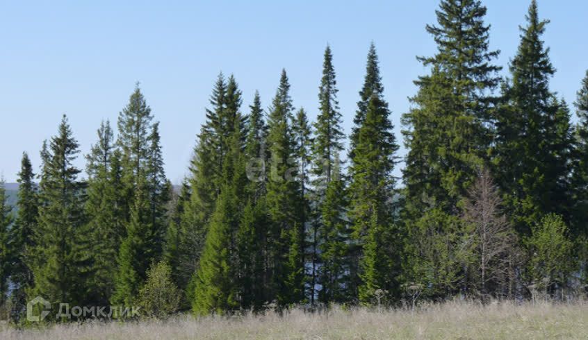 земля Добрянский городской округ, Лунежские горы фото 6