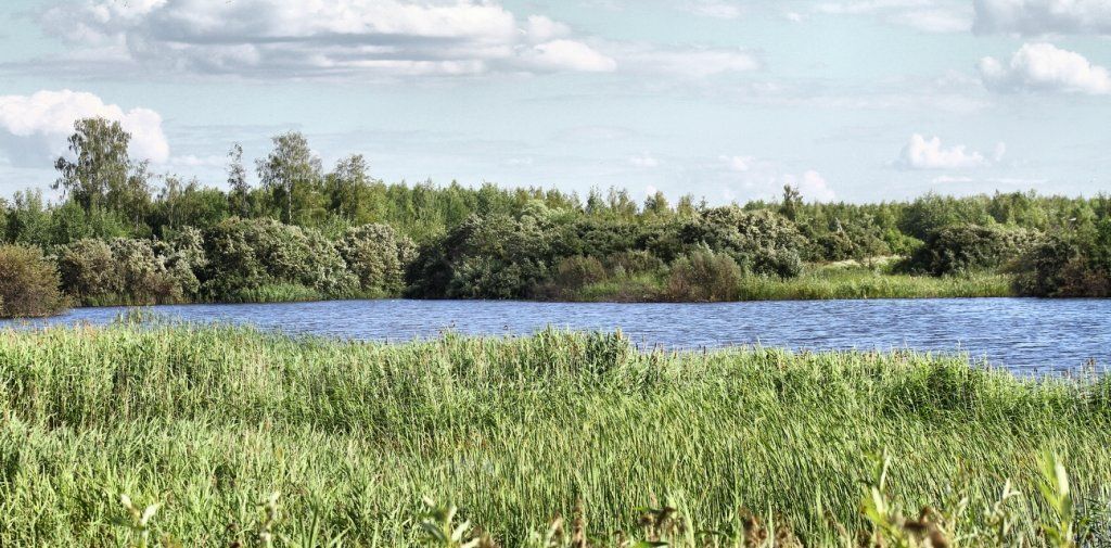 земля городской округ Богородский г Ногинск снт Семья 35 фото 2