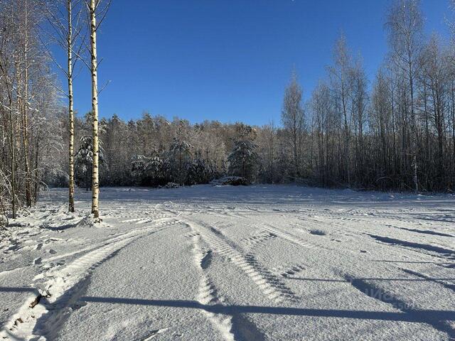 Морозовское городское поселение, Коттеджный поселок «Золотая бухта», Кленовая улица, Морозова фото