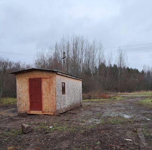 р-н Лужский д Васильковичи ул Подгорная Оредежское с/пос фото