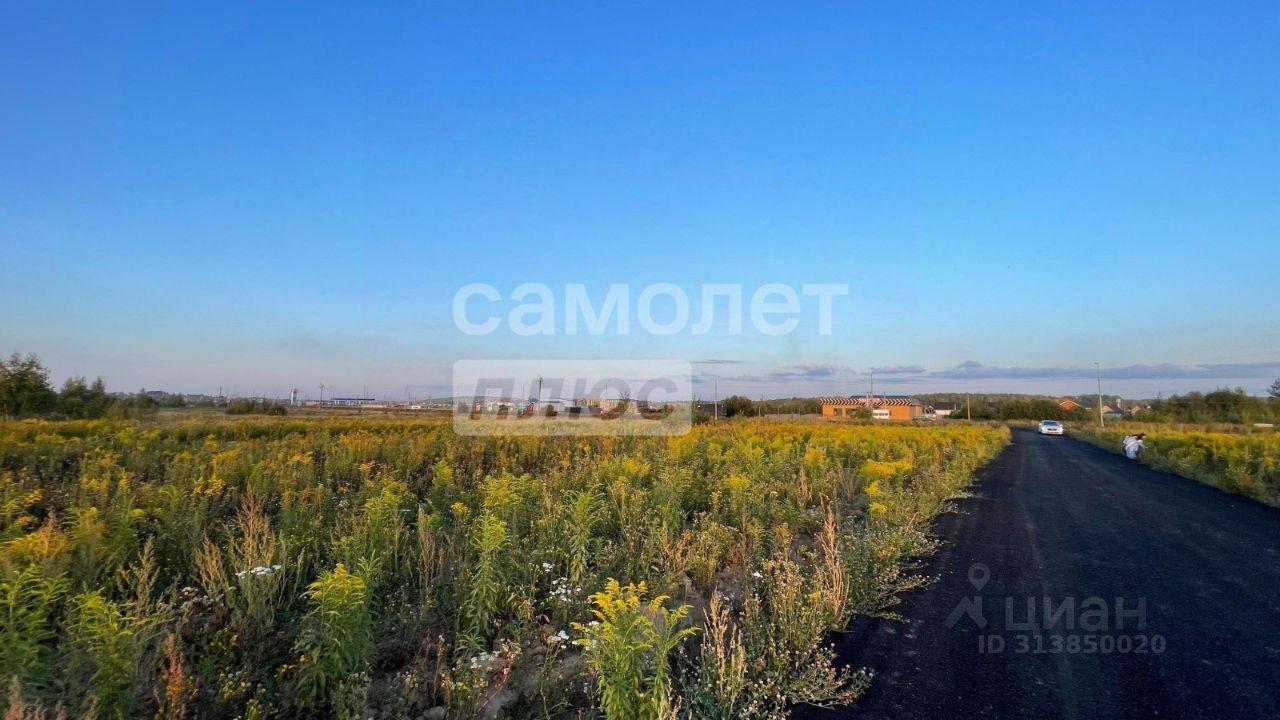 земля городской округ Истра д Карцево 247 фото 7