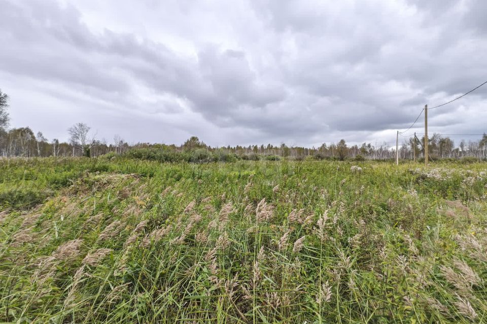 земля г Тюмень Тюмень городской округ, СНТ Облепиховое фото 10