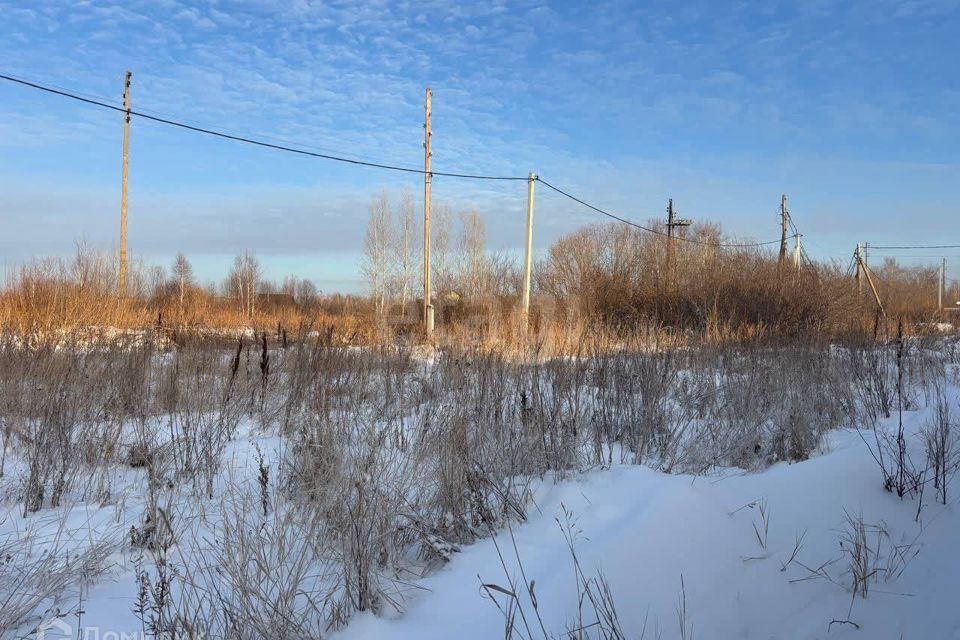 земля г Тюмень снт Липовый остров ул 1-я Западная Тюмень городской округ фото 7