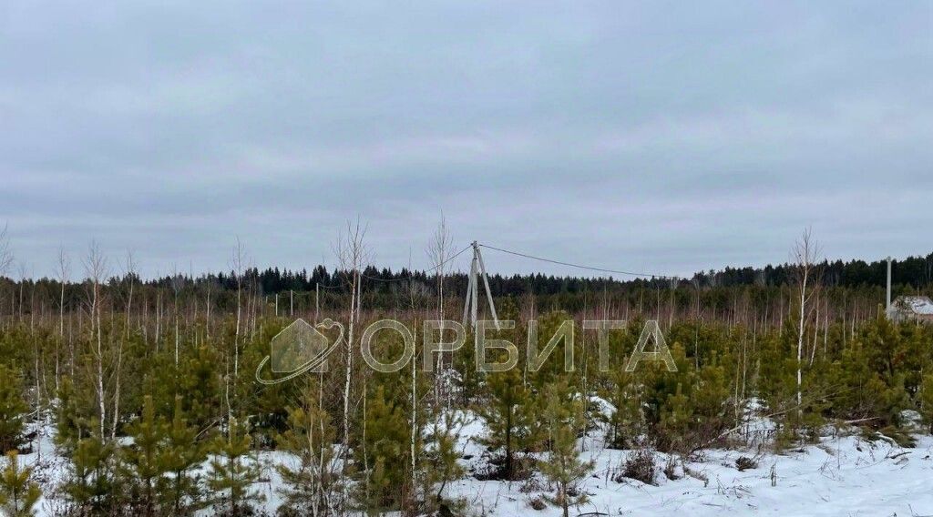 земля р-н Тугулымский п Тугулым пл 50 лет Октября фото 1